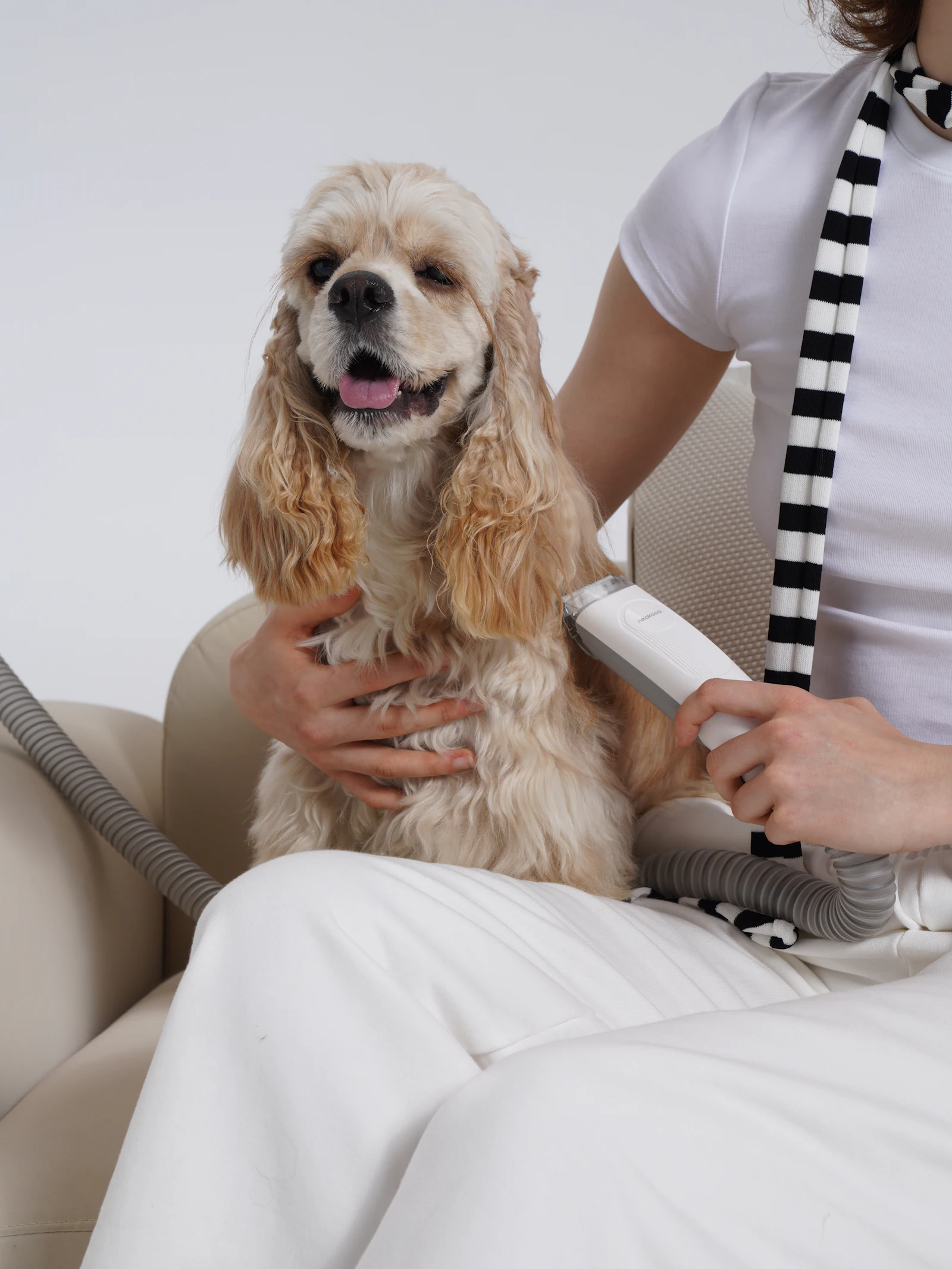 Huellas Peluquería Canina