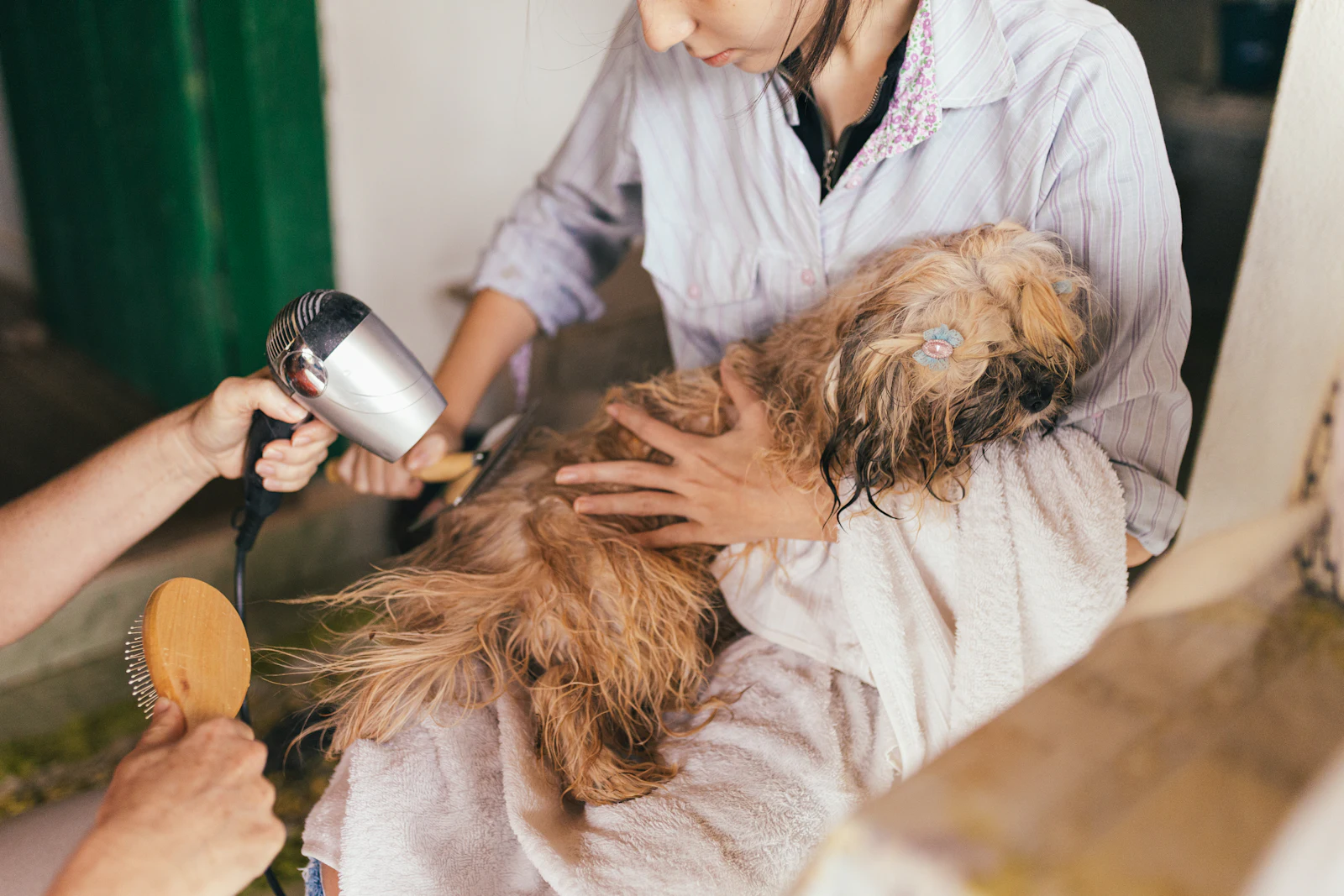 Huellas Peluquería Canina por dentro